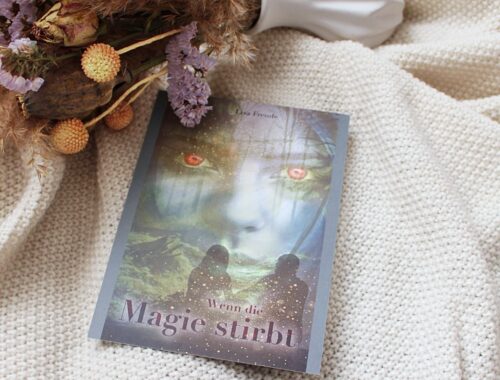 Buchvorstellung Wenn die Magie stirbt von Lisa Freude